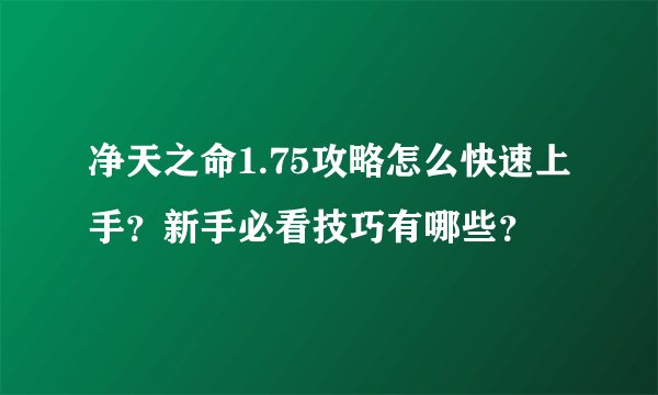 净天之命1.75攻略怎么快速上手？新手必看技巧有哪些？