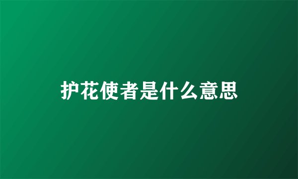 护花使者是什么意思