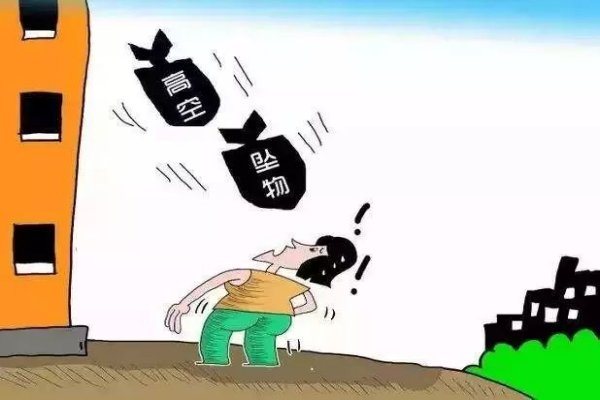 13楼扔电饭锅的人被采取刑事强制措施,涉事人为何这么做?