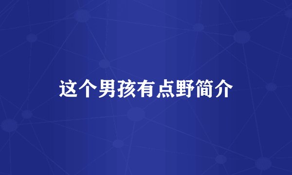 这个男孩有点野简介