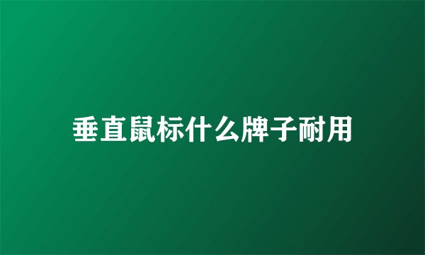 垂直鼠标什么牌子耐用