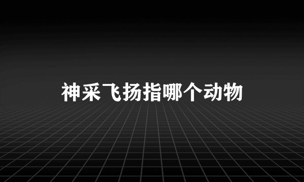 神采飞扬指哪个动物