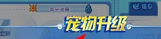 洛克王国的迪莫如何快速升到100级