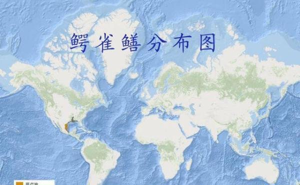抽干湖水 如此大费周章抓一条鱼值得吗?