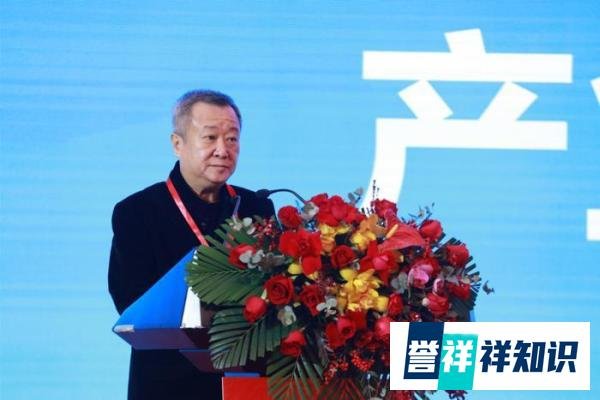 娱乐圈八卦丑事|老花系列：孙俪