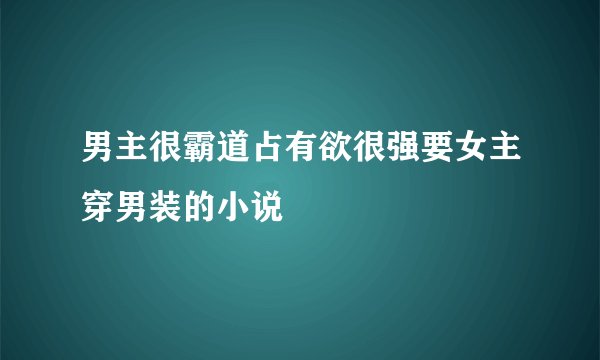 男主很霸道占有欲很强要女主穿男装的小说