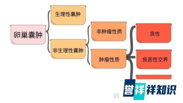 39岁女演员患肿瘤去世，从发现到恶化仅10个月！为所有女性敲响警钟…