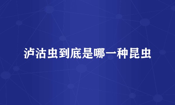 泸沽虫到底是哪一种昆虫