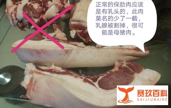 “市场销售母猪肉”被辟谣，“母猪”也遭遇了“性别”歧视？