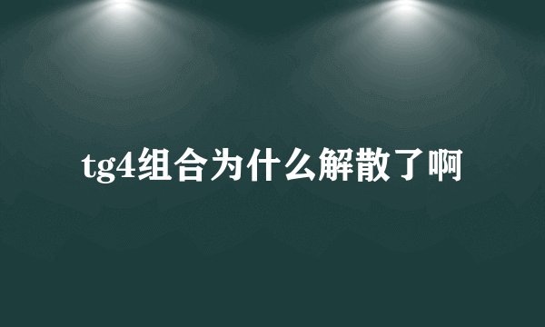tg4组合为什么解散了啊