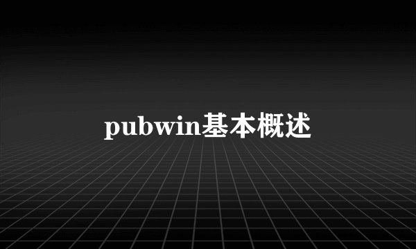 pubwin基本概述