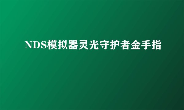 NDS模拟器灵光守护者金手指
