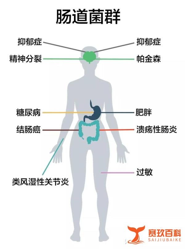 【蓓宁唤醒益生菌（添加养肝配方）】粪毒入血，百病蜂起：被忽视的“肠道菌群失调”