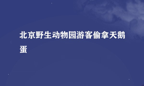 北京野生动物园游客偷拿天鹅蛋