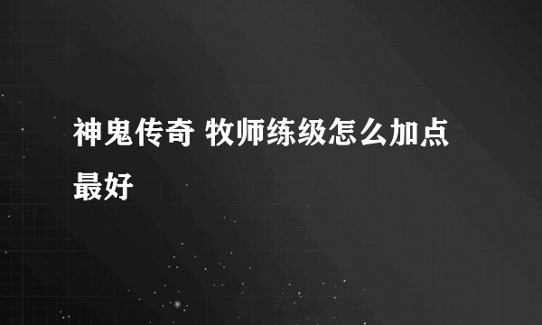神鬼传奇 牧师练级怎么加点最好
