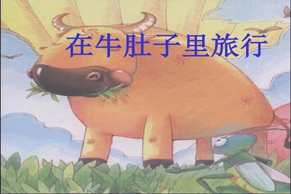 在牛肚子里旅行这本书的内容是什么？