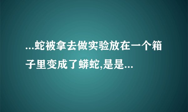 ...蛇被拿去做实验放在一个箱子里变成了蟒蛇,是是什么电影