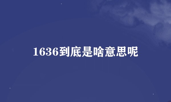 1636到底是啥意思呢
