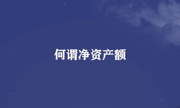 何谓净资产额