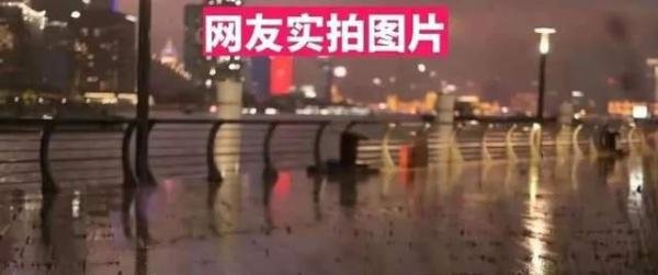 上海外滩长草,究竟意味着什么?