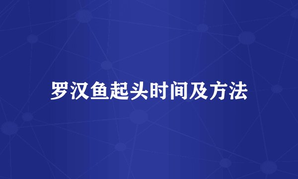 罗汉鱼起头时间及方法