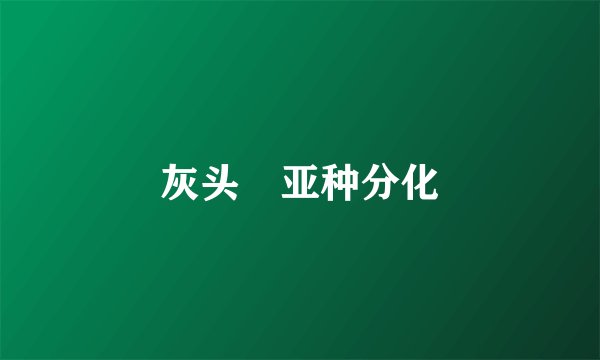 灰头鹀亚种分化
