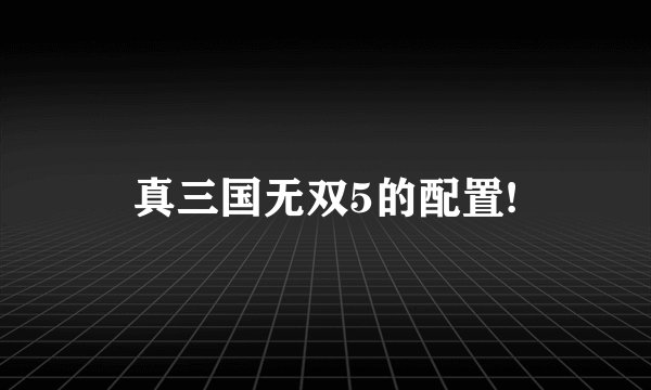 真三国无双5的配置!