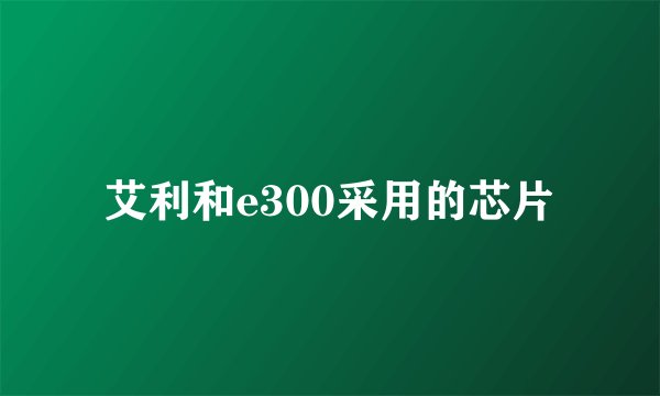 艾利和e300采用的芯片