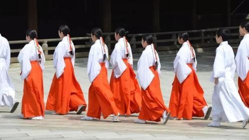 日本空乘填补巫女职位的空缺，巫女究竟是一种什么职业？