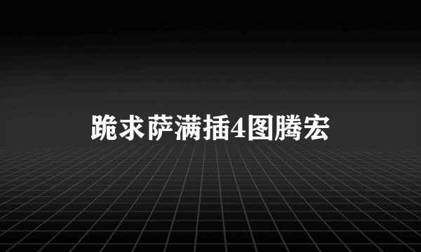 跪求萨满插4图腾宏
