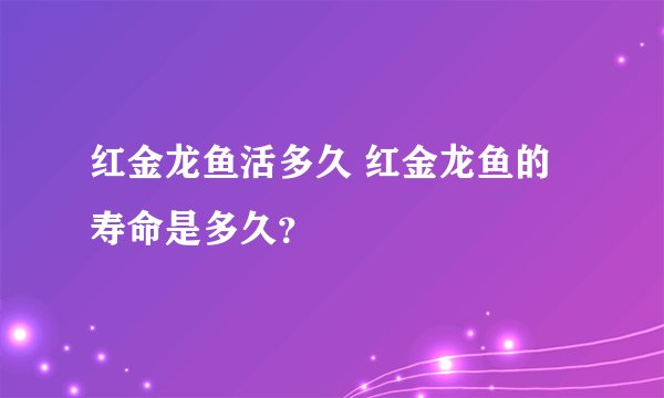 红金龙鱼活多久 红金龙鱼的寿命是多久？