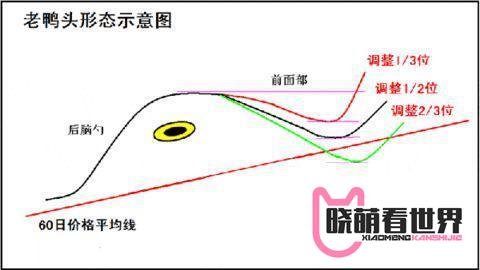 千金难买老鸭头——“鸭颈买，鸭头减仓，鸭嘴加仓”这才是老鸭头战法的真正精髓！