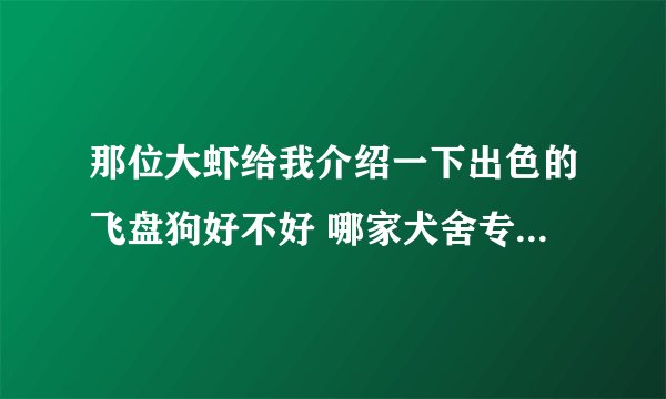 那位大虾给我介绍一下出色的飞盘狗好不好 哪家犬舍专业一点？