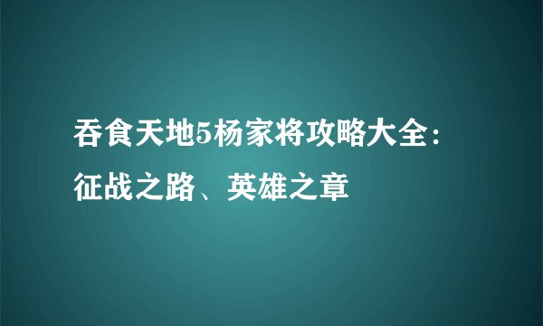 吞食天地5杨家将攻略大全：征战之路、英雄之章