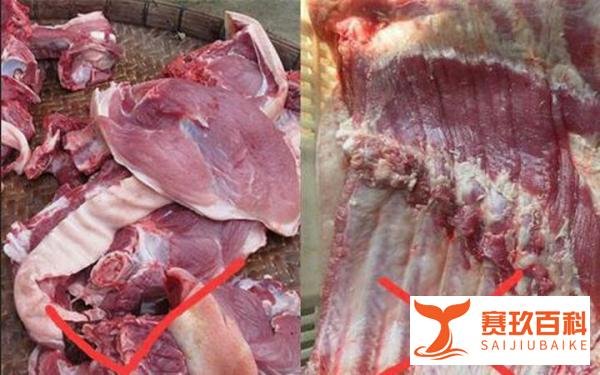 “市场销售母猪肉”被辟谣，“母猪”也遭遇了“性别”歧视？
