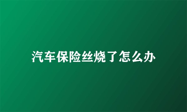 汽车保险丝烧了怎么办