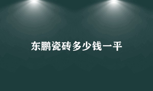 东鹏瓷砖多少钱一平