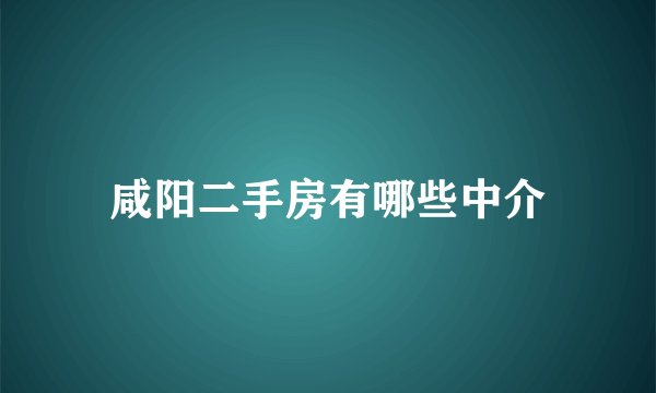 咸阳二手房有哪些中介