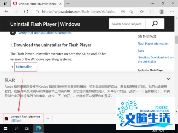 win10怎么彻底删除flash插件