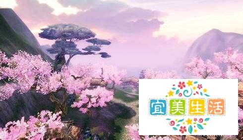 《仙侠世界》装备全掉落
