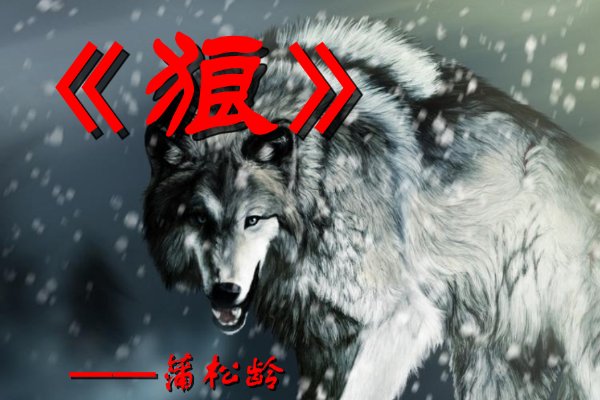 《狼》翻译及原文