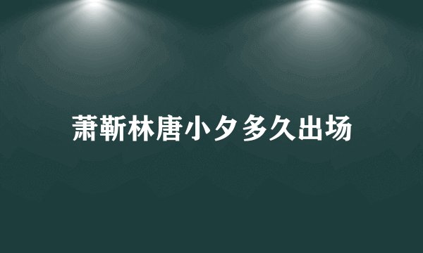萧靳林唐小夕多久出场