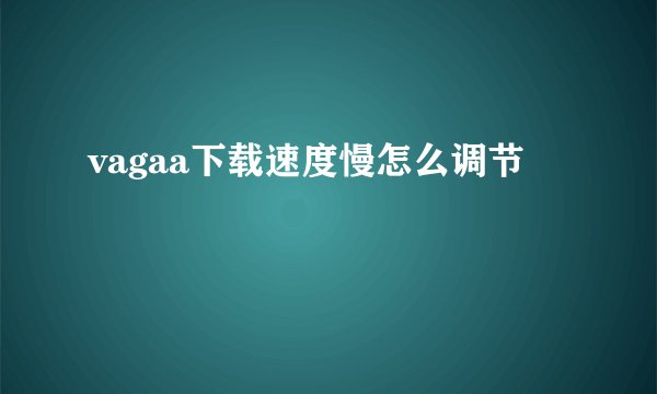 vagaa下载速度慢怎么调节