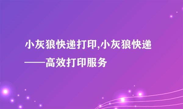 小灰狼快递打印,小灰狼快递——高效打印服务