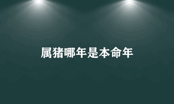 属猪哪年是本命年