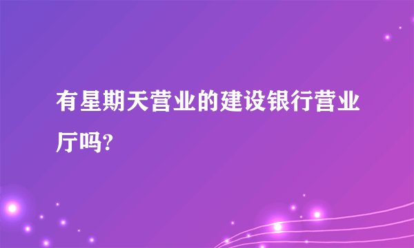 有星期天营业的建设银行营业厅吗?