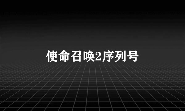 使命召唤2序列号