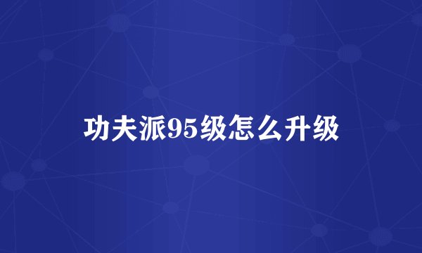 功夫派95级怎么升级