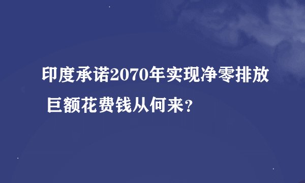 印度承诺2070年实现净零排放 巨额花费钱从何来？