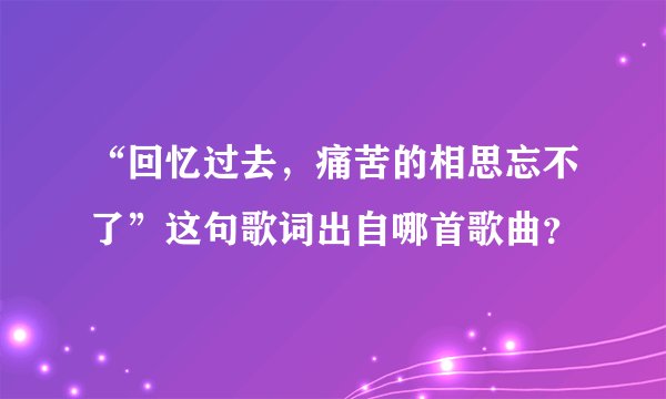 “回忆过去，痛苦的相思忘不了”这句歌词出自哪首歌曲？